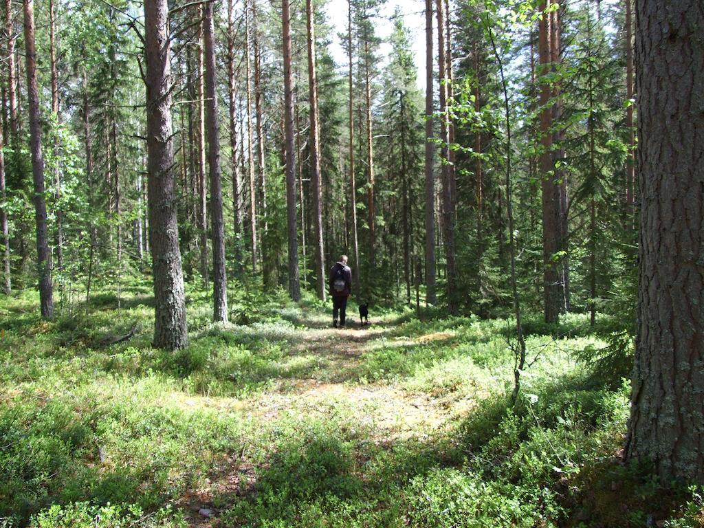 Hovra Vandrarhem Håvra Exterior foto